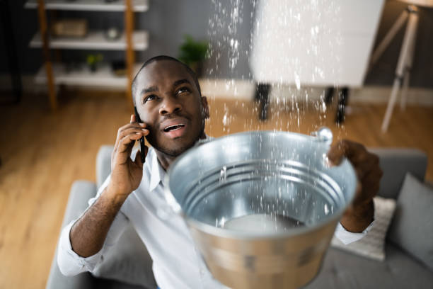 Best Ceiling water damage repair  in Ke Charles, LA
