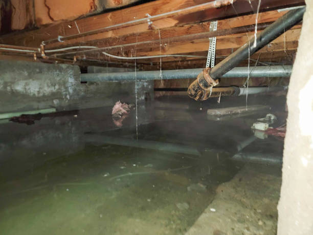 Best Residential water damage restoration  in Ke Charles, LA