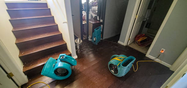 Sewage cleanup and water damage restoration in LA