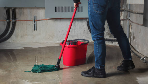 Best Sewage cleanup and water damage restoration  in Ke Charles, LA
