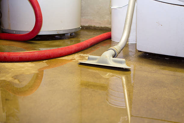 Best Water damage restoration near me  in Ke Charles, LA