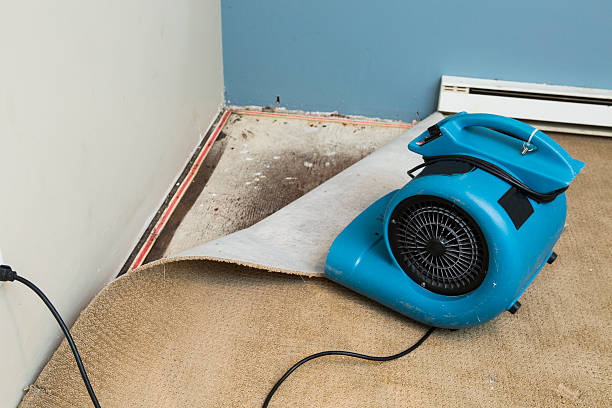 Best Water damage restoration near me  in Ke Charles, LA